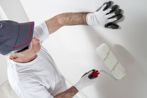 Best Water Damage & Mold Remediation  in Channahon, IL