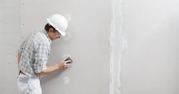 Trusted Channahon, IL Mold Removal Experts