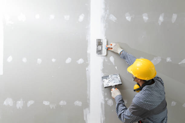 Best Black Mold Removal  in Channahon, IL