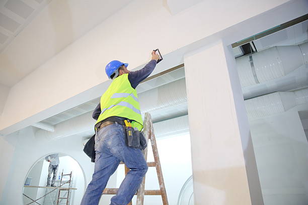 Best Crawl Space Mold Remediation  in Channahon, IL