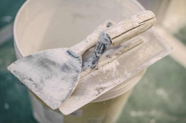 Best Post-Construction Mold Inspection  in Channahon, IL